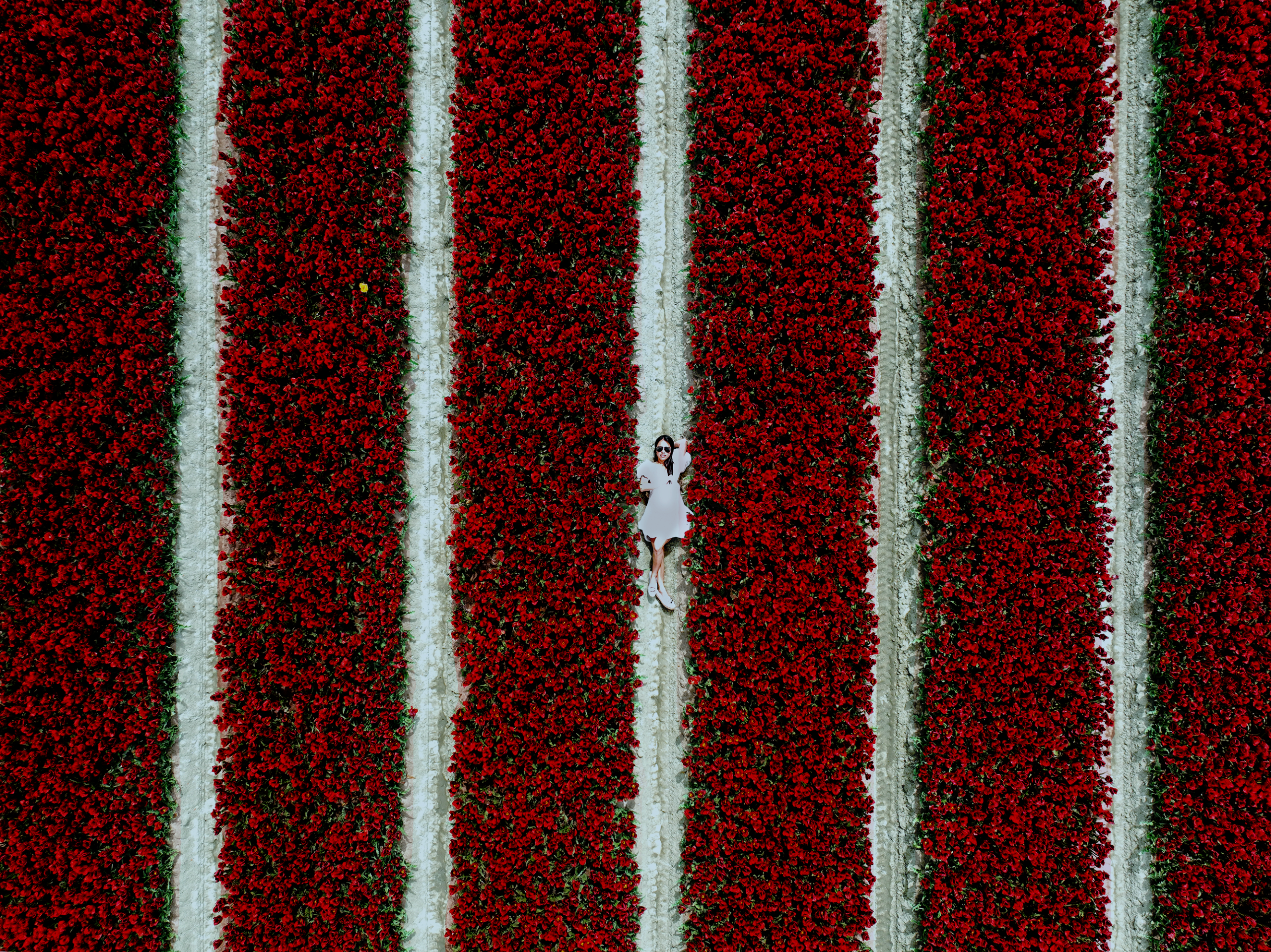 Is private credit about to crash | The Kitti Sisters - 2